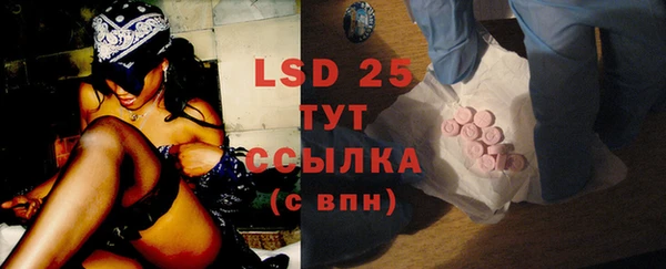 прущие грибы Михайловка
