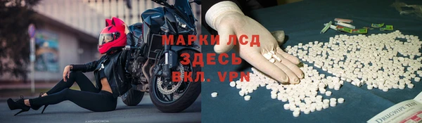 прущие грибы Михайловка
