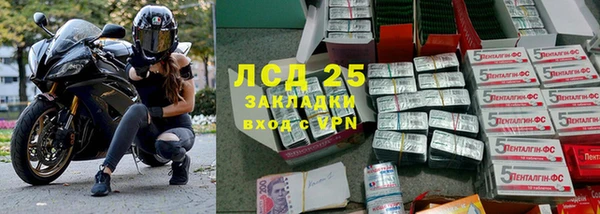 прущие грибы Михайловка
