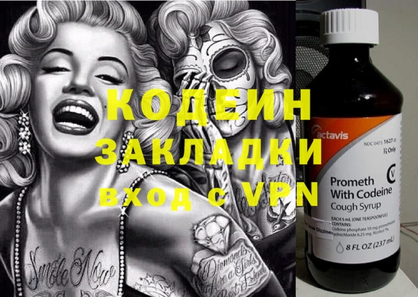 прущие грибы Михайловка