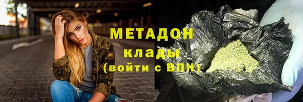 прущие грибы Михайловка