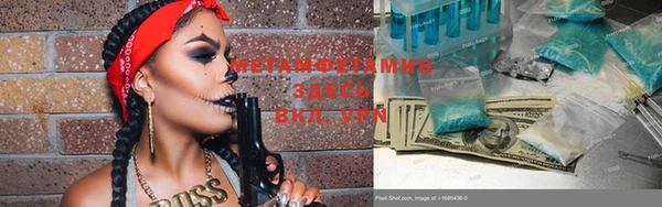 прущие грибы Михайловка