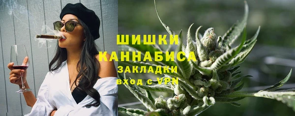 прущие грибы Михайловка
