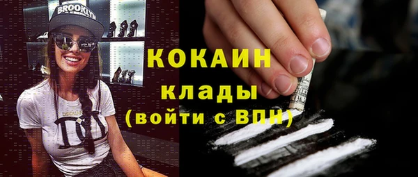 прущие грибы Михайловка