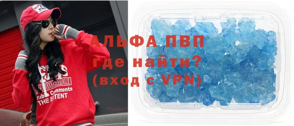 прущие грибы Михайловка