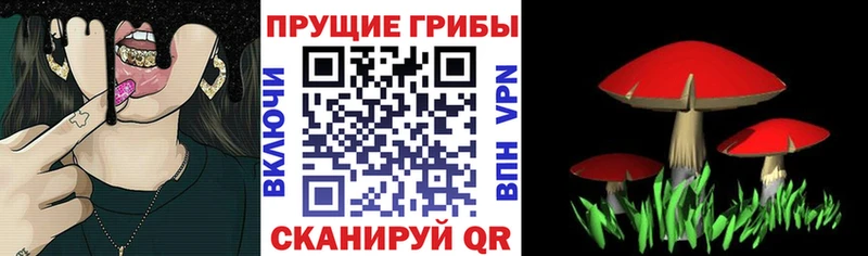 Галлюциногенные грибы Magic Shrooms  Полесск 